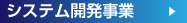 システム開発事業